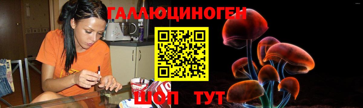 Отрадный  Псилоцибиновые грибы Psilocybine cubensis  Вход с VPN 